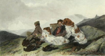 B069F - Grouse