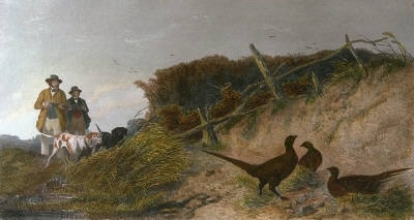 B069E - Pheasant