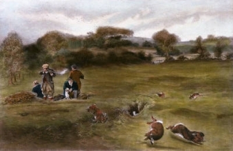 A294 - Rabbit Shooting