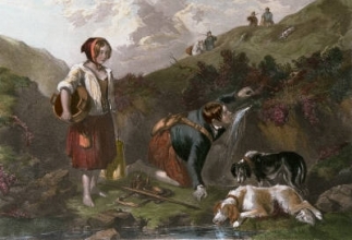 D227 - Mountain Spring