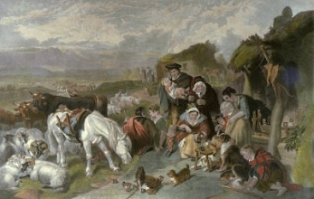 C176 - Highland Drovers