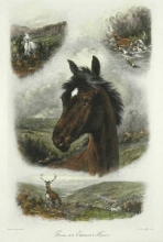 S617A - From an Exmoor Home