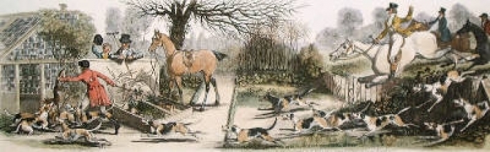 Q318D - Fox Hunting - Kenneling