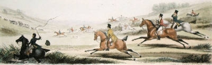 Q318C - Fox Hunting - Kenneling