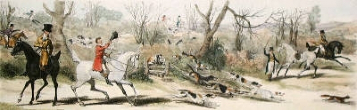 Q318B - Fox Hunting Kenneling II