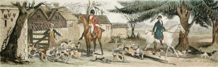 Q318A - Fox Hunting Kenneling I