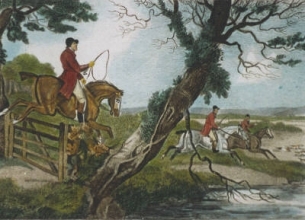 Q301E - Fox Hunting Plate V
