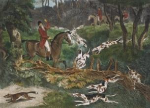 Q301D - Fox Hunting Plate IV