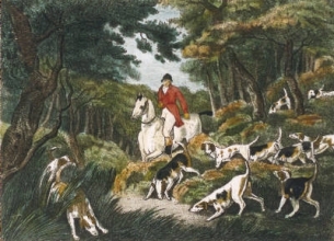 Q301C - Fox Hunting Plate III