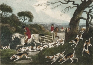 Q301A - Fox Hunting Plate I