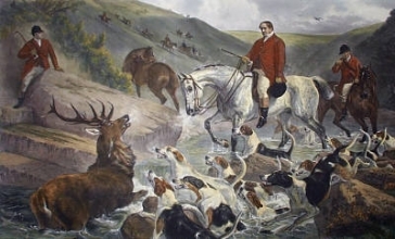 J131 - Devon & Somerset Staghounds
