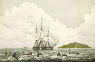 W635 - Southsea Whale Fishery