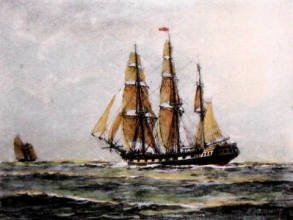 T536 - Constitution, The