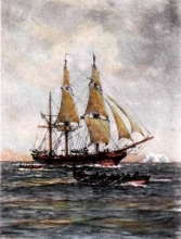 T533 - New Bedford Whaler