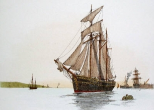 Q317F - Ship - Plate VI