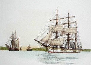 Q317B - Ship - Plate II