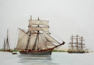 Q317A - Ship - Plate I