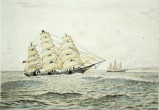 P329D - Clippers - The Norman Court