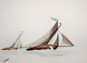 K389D - Swallow