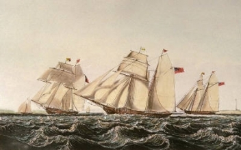 D191 - Waterford Schooners