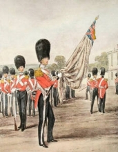 L184 - Grenadier Guards Ensign