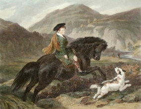 V413A - Young Mountaineer, The