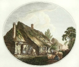 T985A - Dairy, The