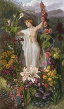 F211 - Where Flora Stepped