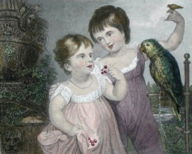 P305 - Girls With Parrot