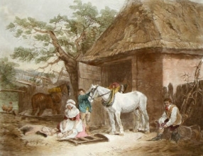 L534A - Feeding The Pigs