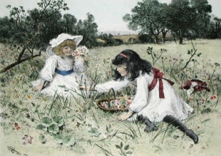K359 - Wild Flowers