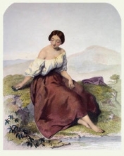 H117 - Mountain Daisy