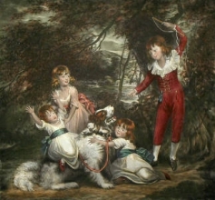 E219 - Dashwood Children