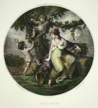 A048C - Autumn (Round)