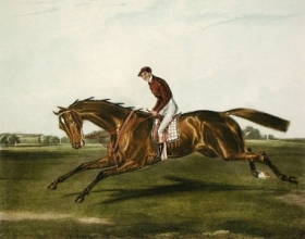 W657 - Alice Hawthorn