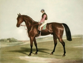 V459B - Merry Monarch, The