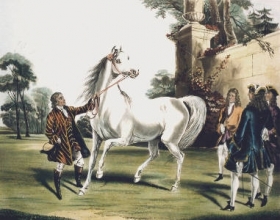 V444B - Darley Arabian, Roxana