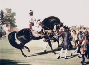 V444A - Godolphin Arabian, Scham