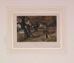 ART126 - A Burnham beeches