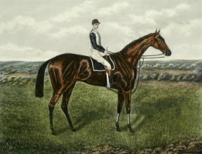 L415A - Mrs Butterwick