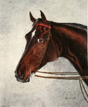 L062 - Head of Bendigo