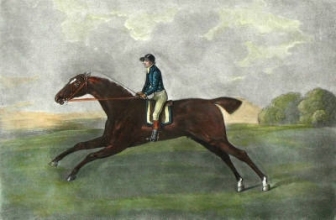 K176I - Lurcher