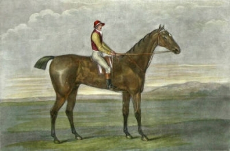 K176G - Hambletonian