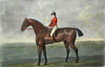 K176E - Skylark