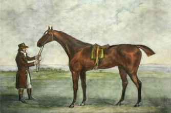 K176D - Champion