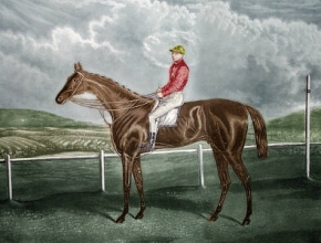 F233 - Galtee Moore