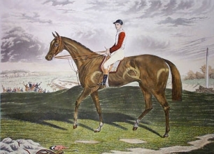 E282 - Sir Hugo (Published by Brall)