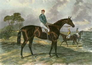 E280 - Sir Bevys