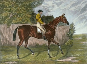 E181 - Melton