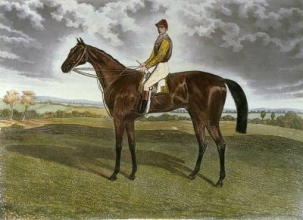 E137 - Common
